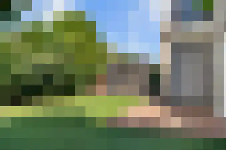 Bruine Vuurvlinder 10 Tiel thumbnail 62