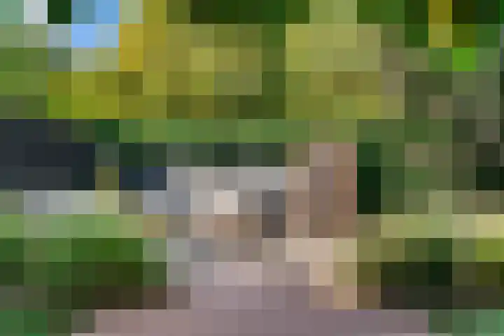 Bruine Vuurvlinder 10 Tiel thumbnail 63
