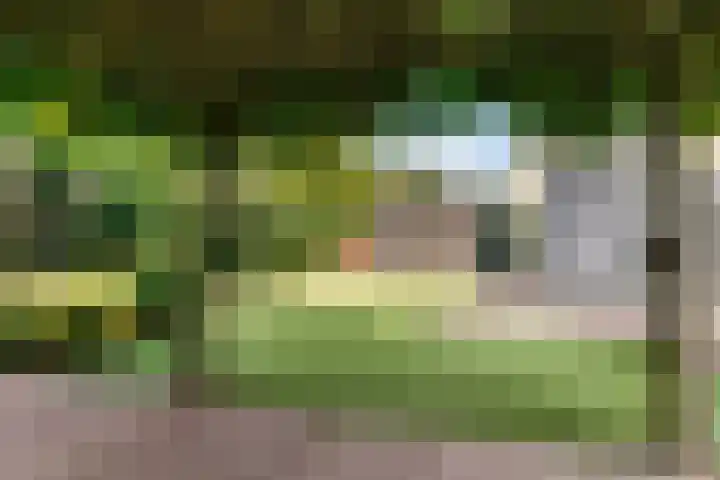 Bruine Vuurvlinder 10 Tiel thumbnail 64