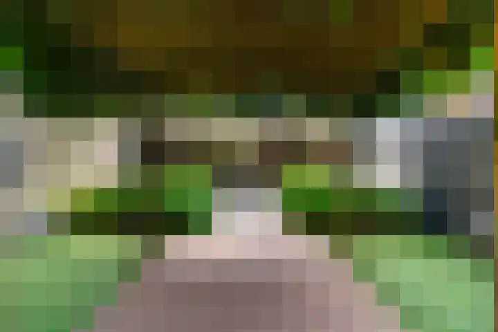 Bruine Vuurvlinder 10 Tiel thumbnail 65