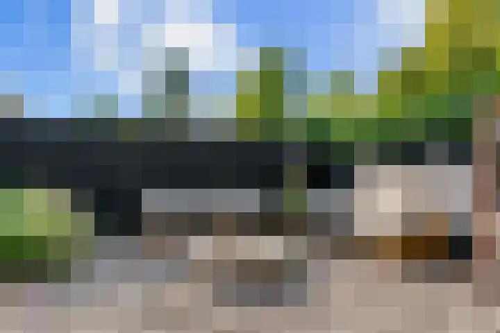 Bruine Vuurvlinder 10 Tiel thumbnail 66
