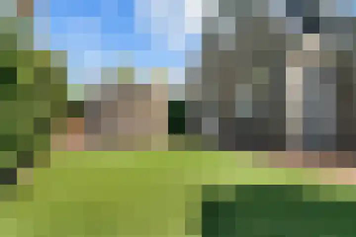 Bruine Vuurvlinder 10 Tiel thumbnail 67