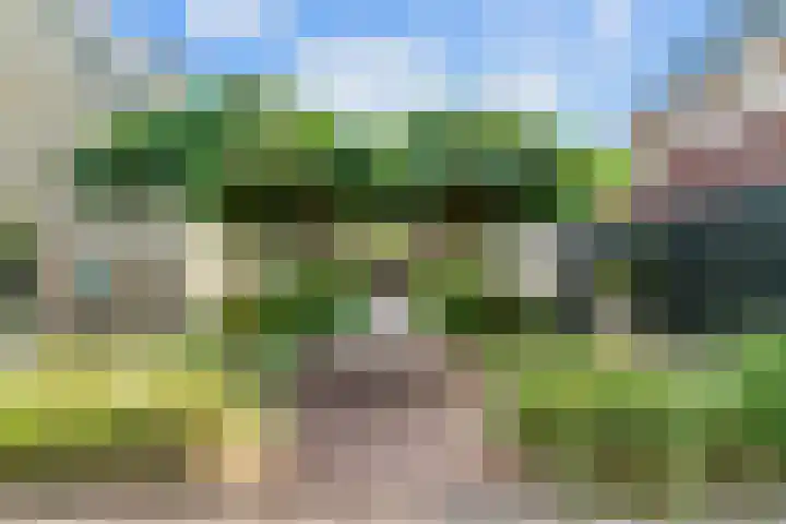 Bruine Vuurvlinder 10 Tiel thumbnail 68