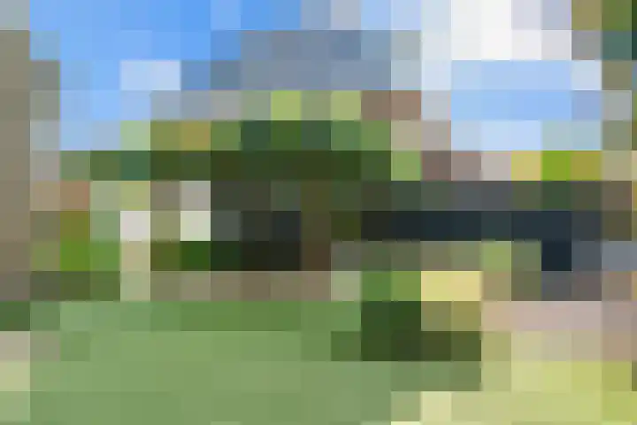 Bruine Vuurvlinder 10 Tiel thumbnail 69