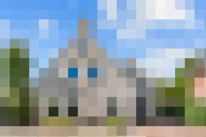 Bruine Vuurvlinder 10 Tiel thumbnail 7