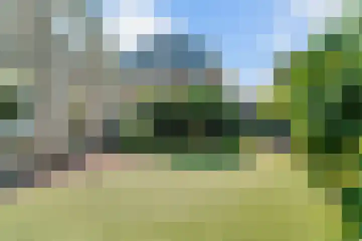 Bruine Vuurvlinder 10 Tiel thumbnail 70