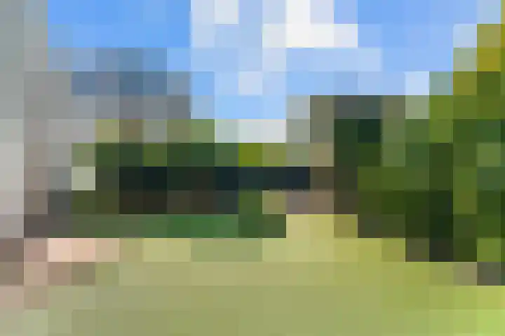 Bruine Vuurvlinder 10 Tiel thumbnail 71