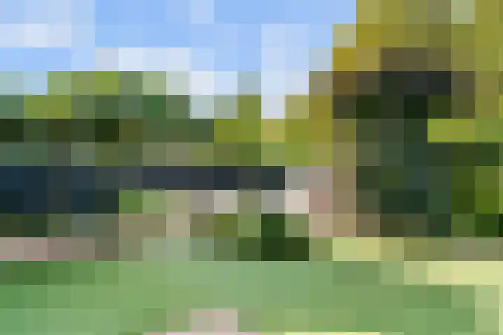 Bruine Vuurvlinder 10 Tiel thumbnail 72
