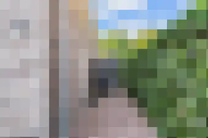 Bruine Vuurvlinder 10 Tiel thumbnail 73