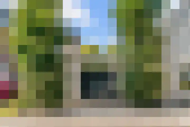 Bruine Vuurvlinder 10 Tiel thumbnail 74