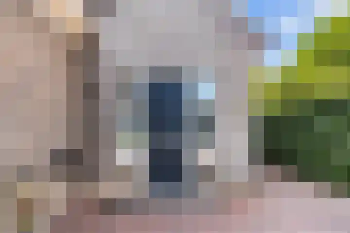 Bruine Vuurvlinder 10 Tiel thumbnail 8