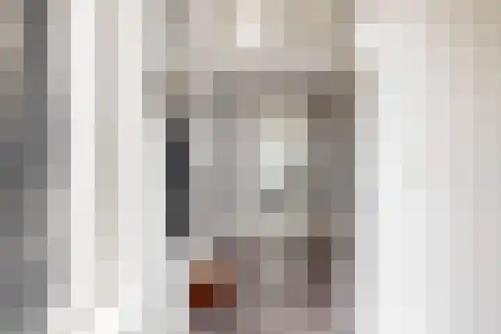 Bruine Vuurvlinder 10 Tiel thumbnail 9