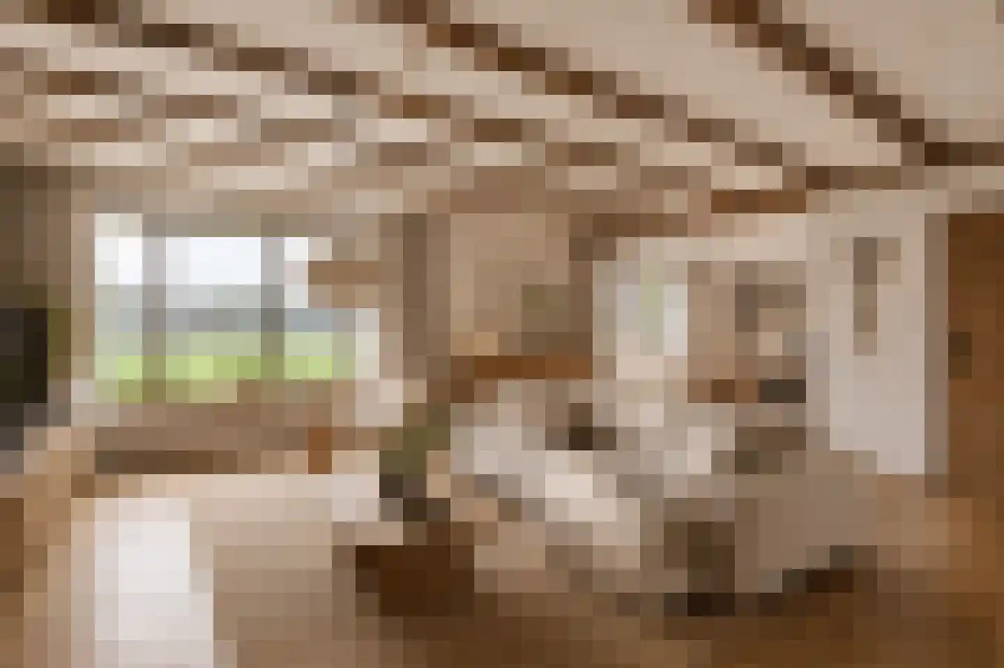 Bruinehaarsweg 14 Langeveen thumbnail 10