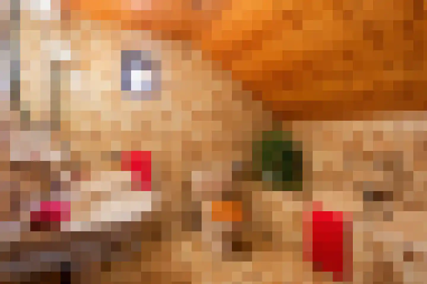 Bruinehaarsweg 14 Langeveen thumbnail 17