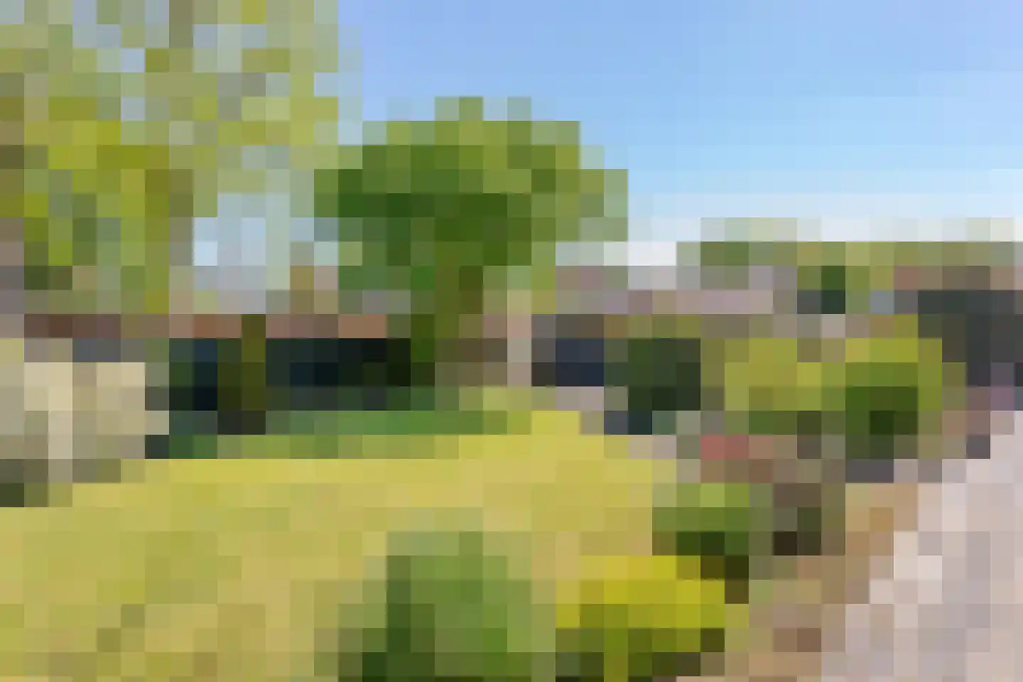 Bruinehaarsweg 14 Langeveen thumbnail 23