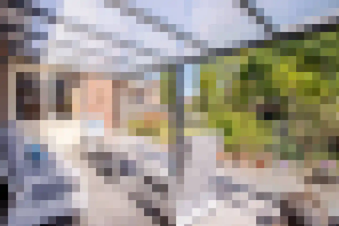 Bruinehaarsweg 14 Langeveen thumbnail 4