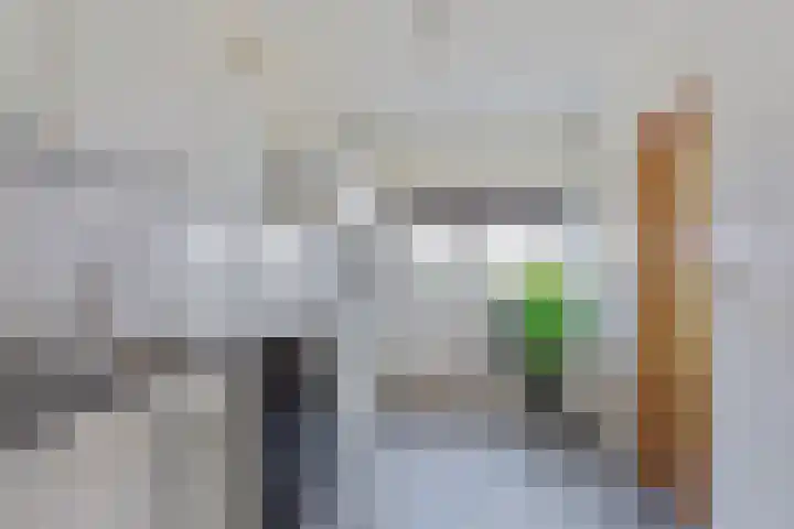 Bruinehaarsweg 2 Langeveen thumbnail 11