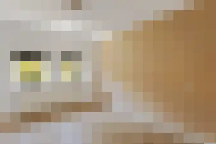 Bruinehaarsweg 2 Langeveen thumbnail 13