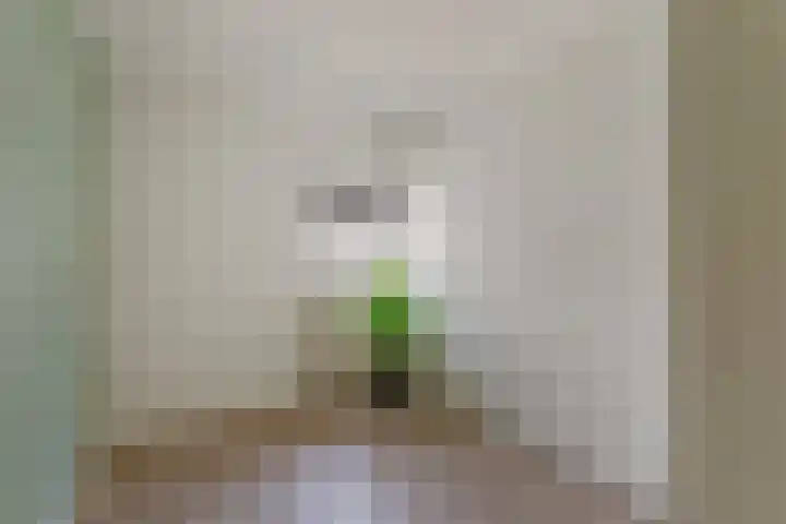 Bruinehaarsweg 2 Langeveen thumbnail 16