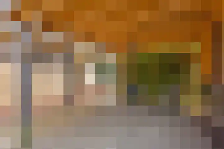 Bruinehaarsweg 2 Langeveen thumbnail 17