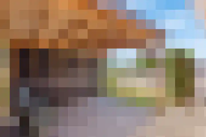 Bruinehaarsweg 2 Langeveen thumbnail 18