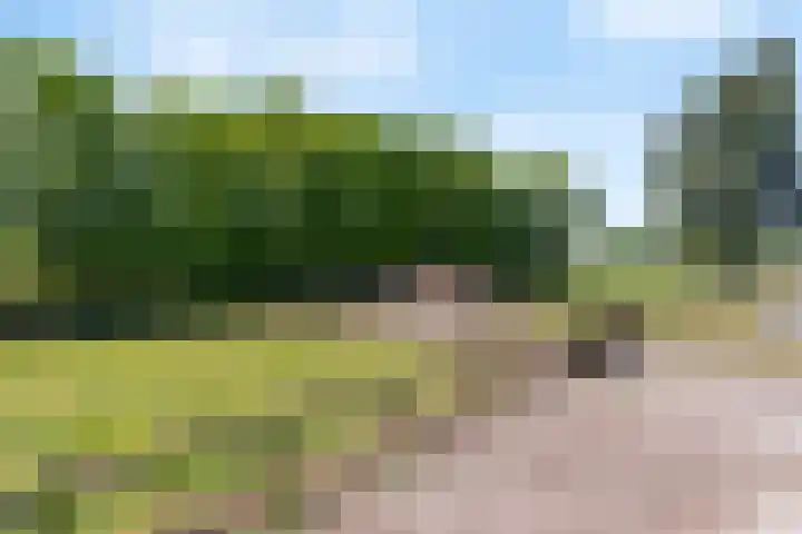 Bruinehaarsweg 2 Langeveen thumbnail 19