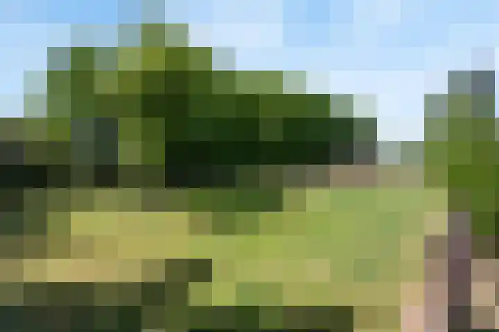 Bruinehaarsweg 2 Langeveen thumbnail 20