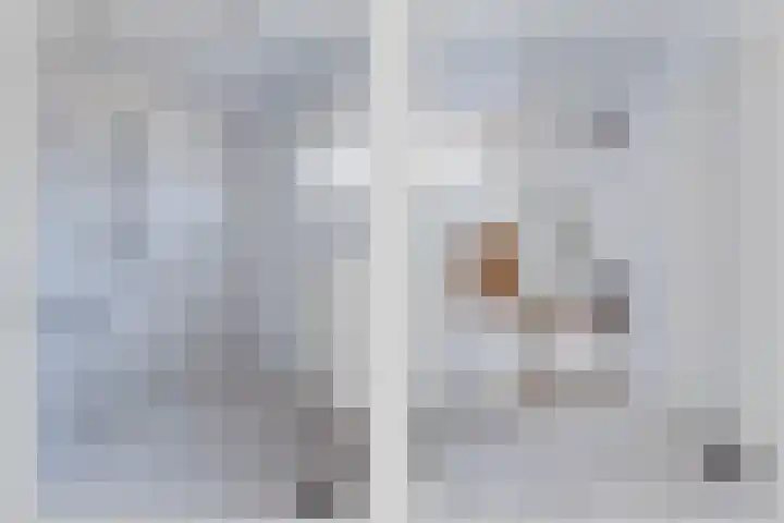 Bruinehaarsweg 2 Langeveen thumbnail 4
