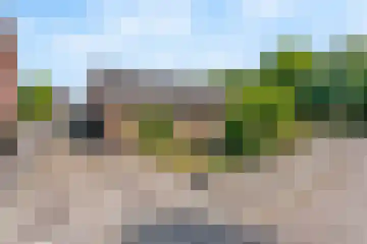 Bruinehaarsweg 2 Langeveen thumbnail 6