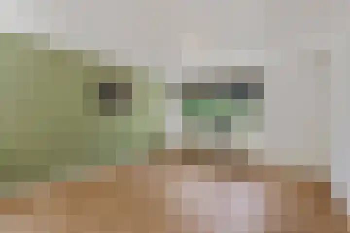 Bruinehaarsweg 2 Langeveen thumbnail 7