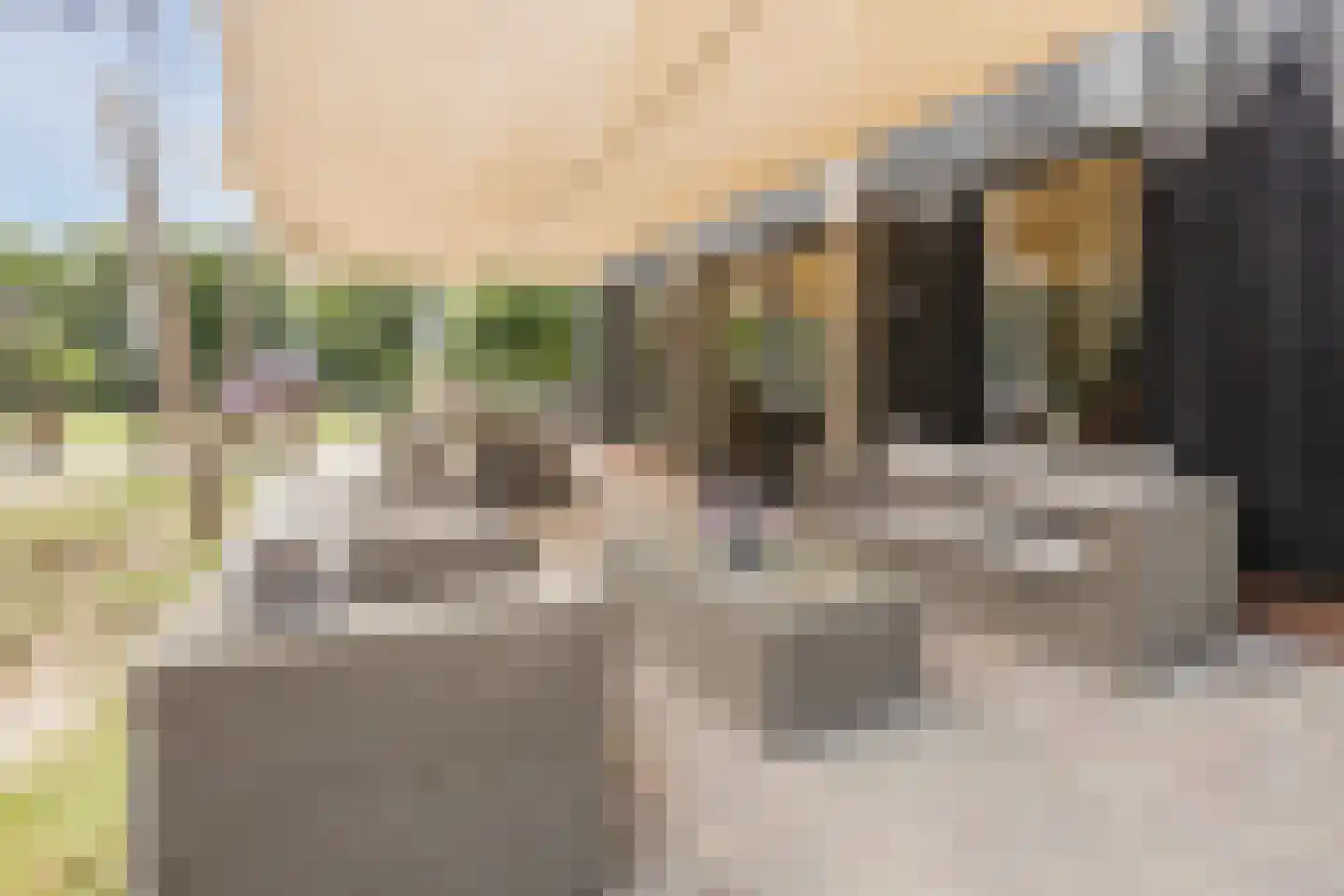 Bruinehaarsweg 68 Langeveen thumbnail 33