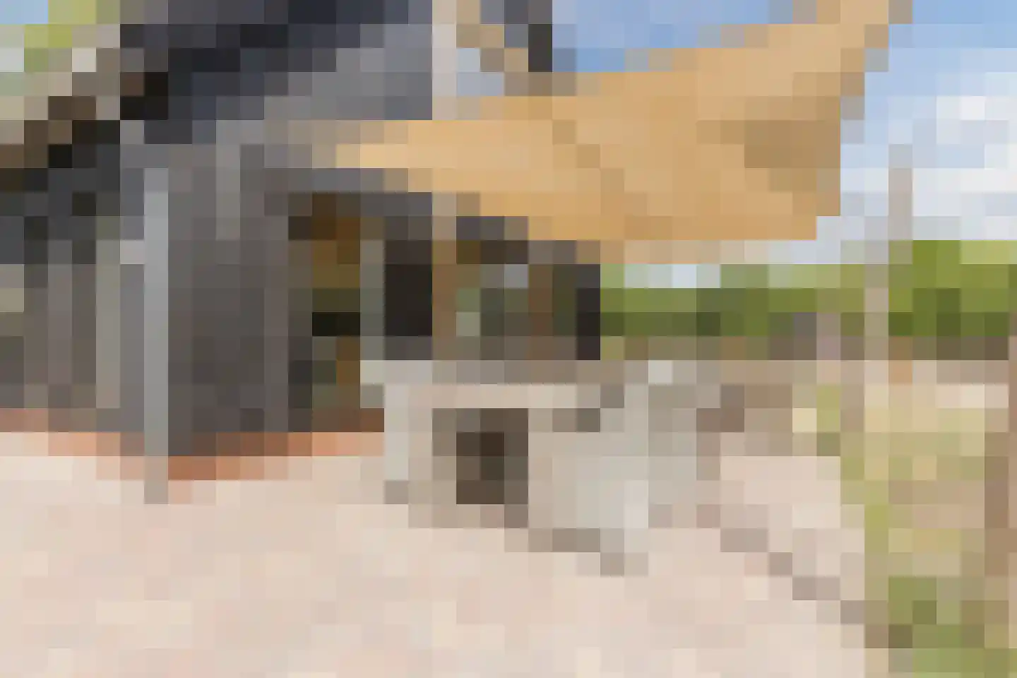 Bruinehaarsweg 68 Langeveen thumbnail 34
