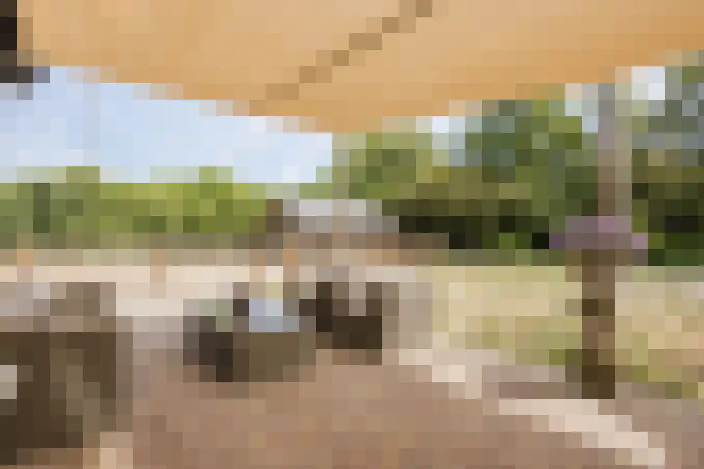 Bruinehaarsweg 68 Langeveen thumbnail 35