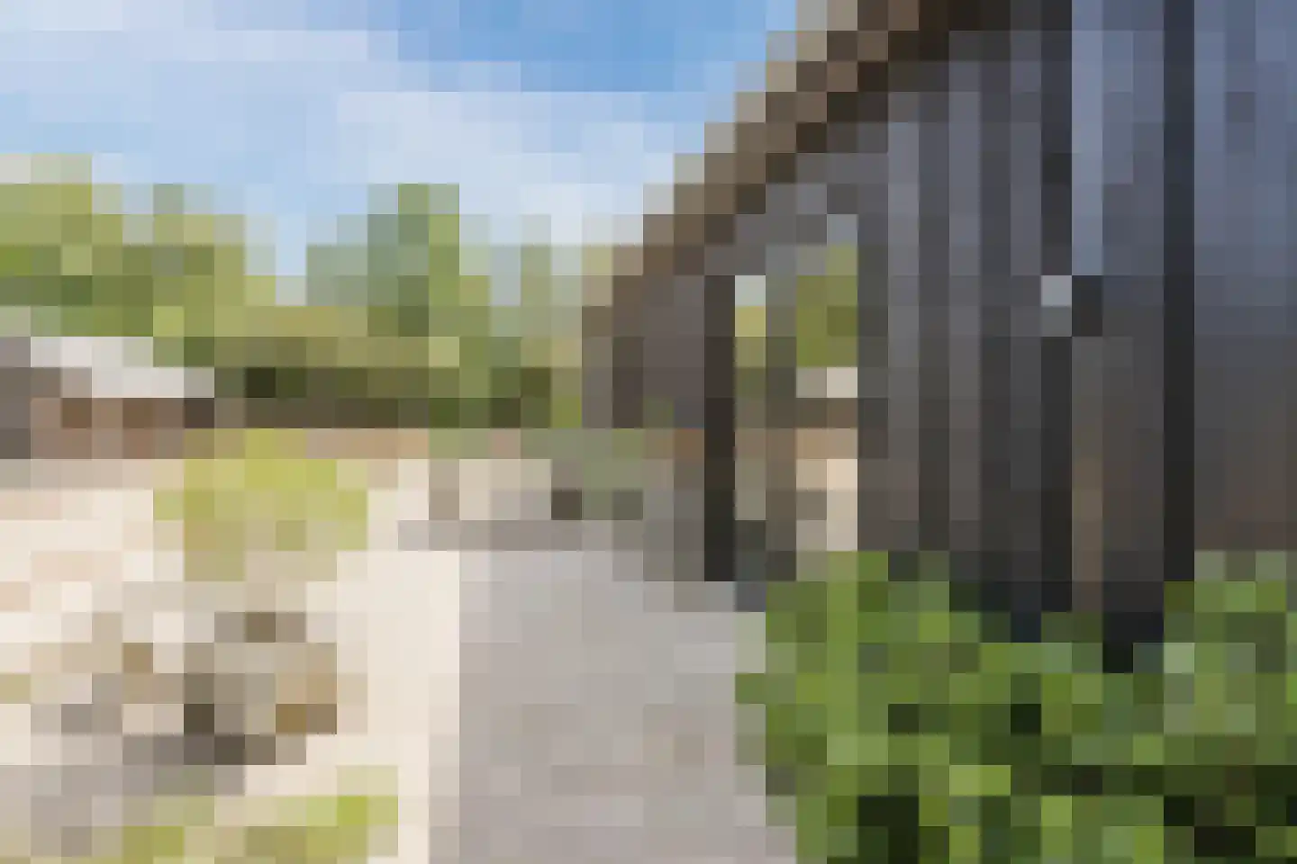 Bruinehaarsweg 68 Langeveen thumbnail 37