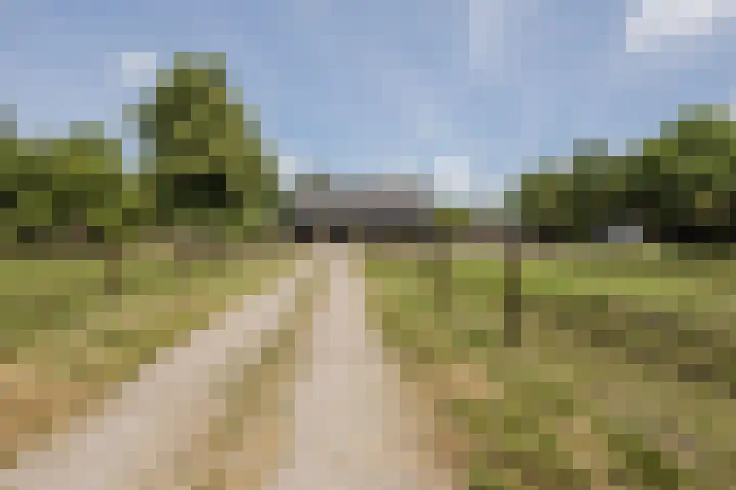 Bruinehaarsweg 68 Langeveen thumbnail 4