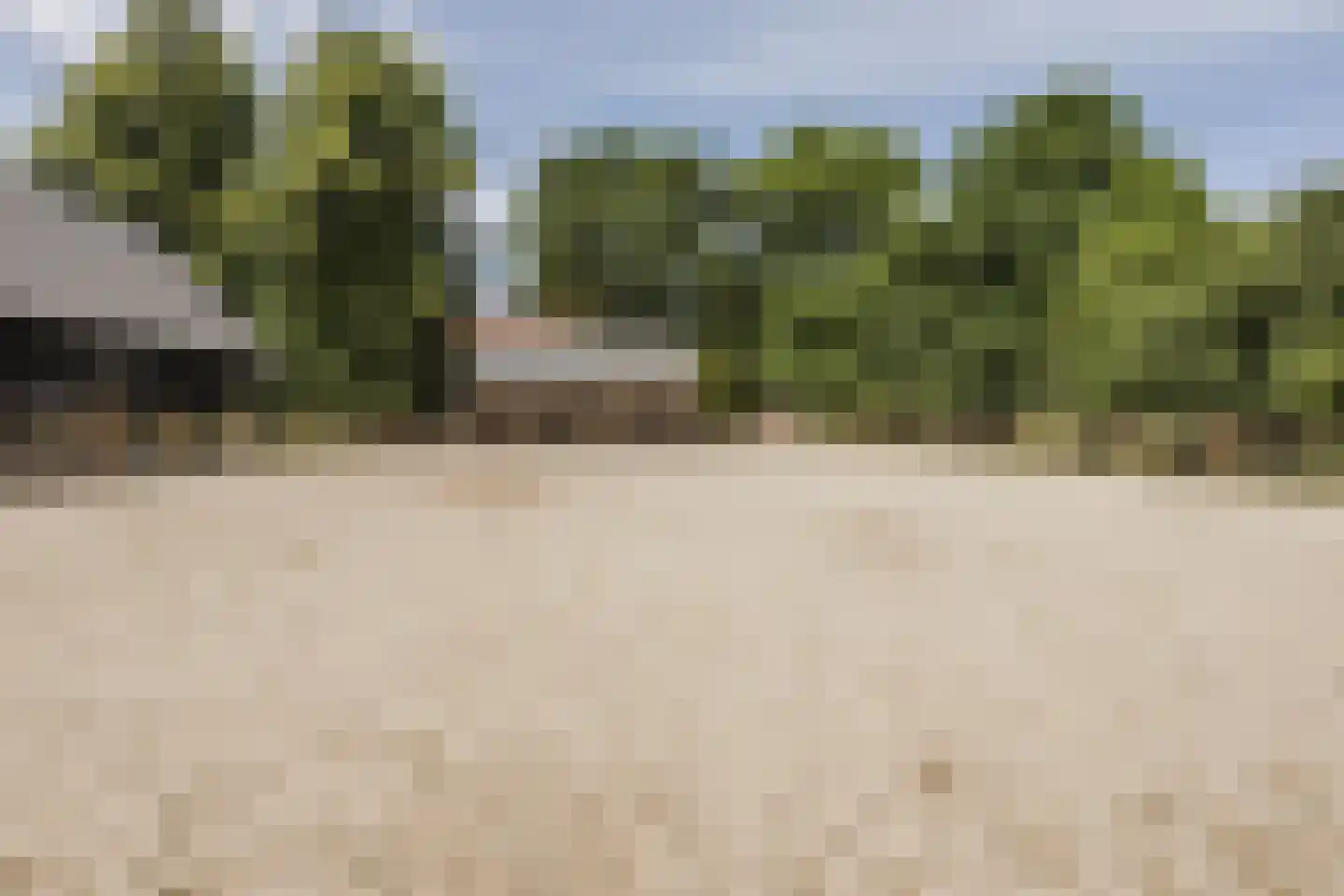 Bruinehaarsweg 68 Langeveen thumbnail 40