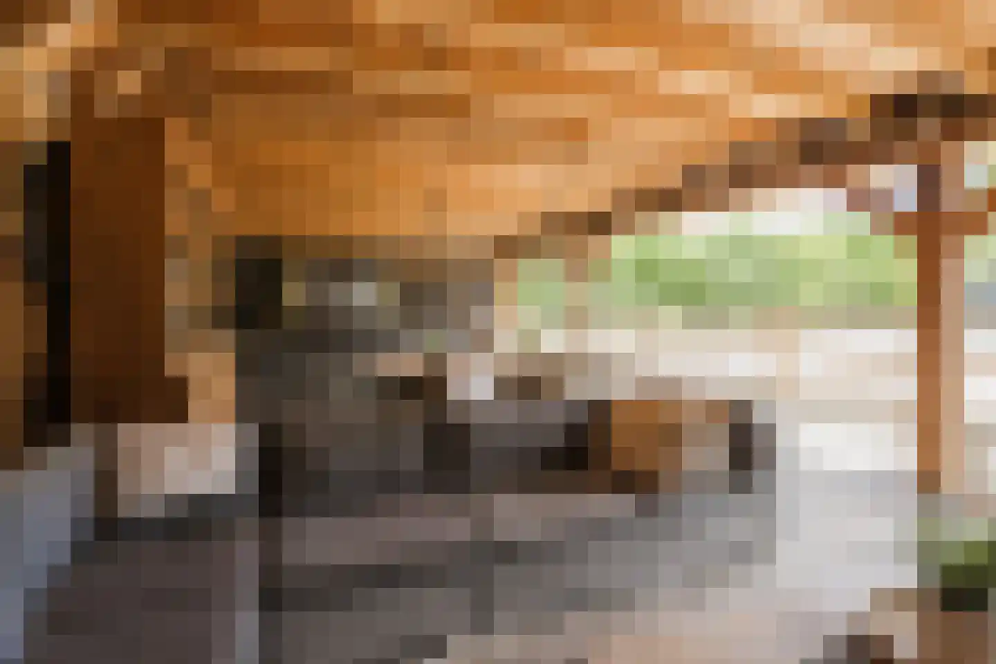 Bruinehaarsweg 68 Langeveen thumbnail 43