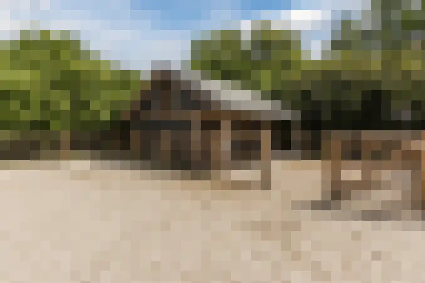 Bruinehaarsweg 68 Langeveen thumbnail 46