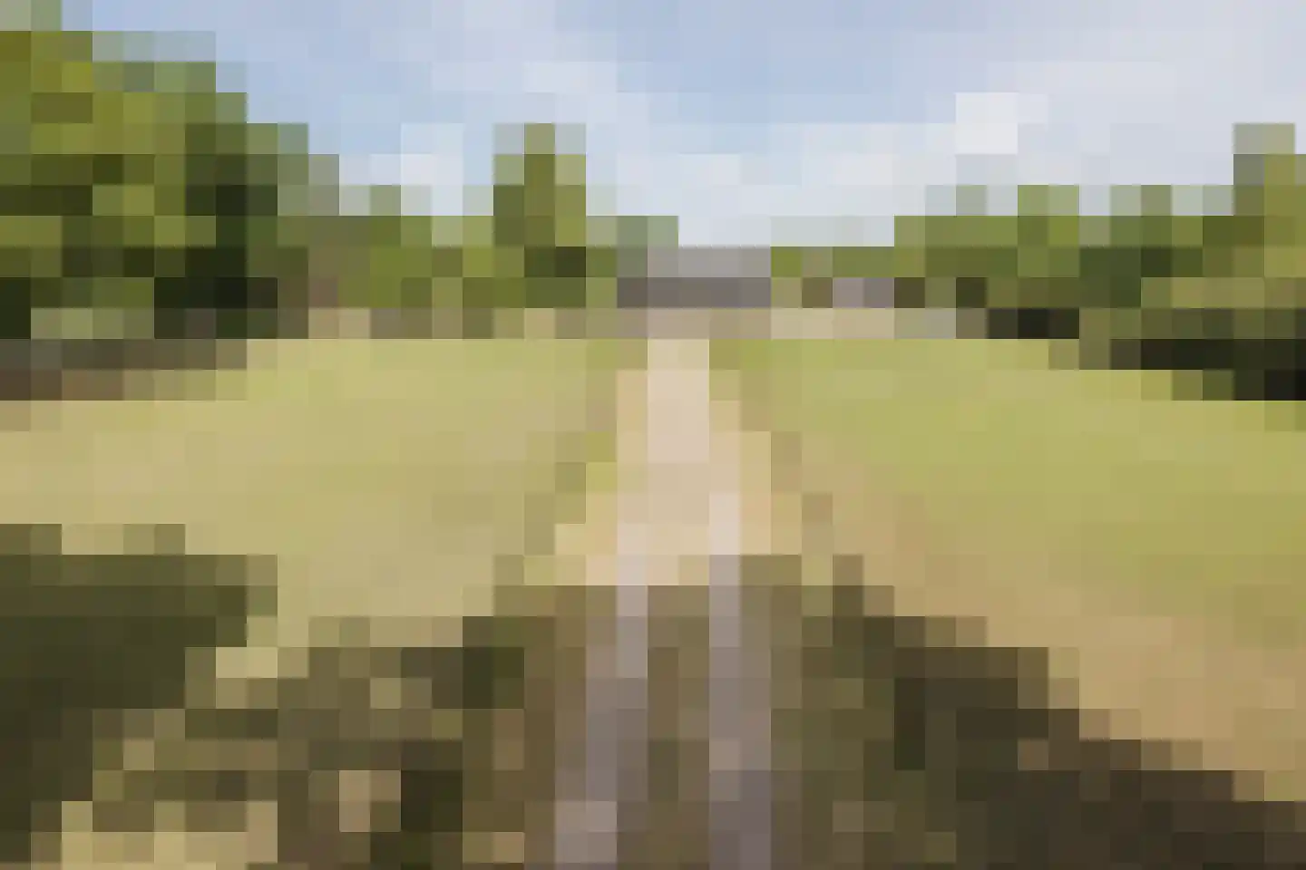 Bruinehaarsweg 68 Langeveen thumbnail 48