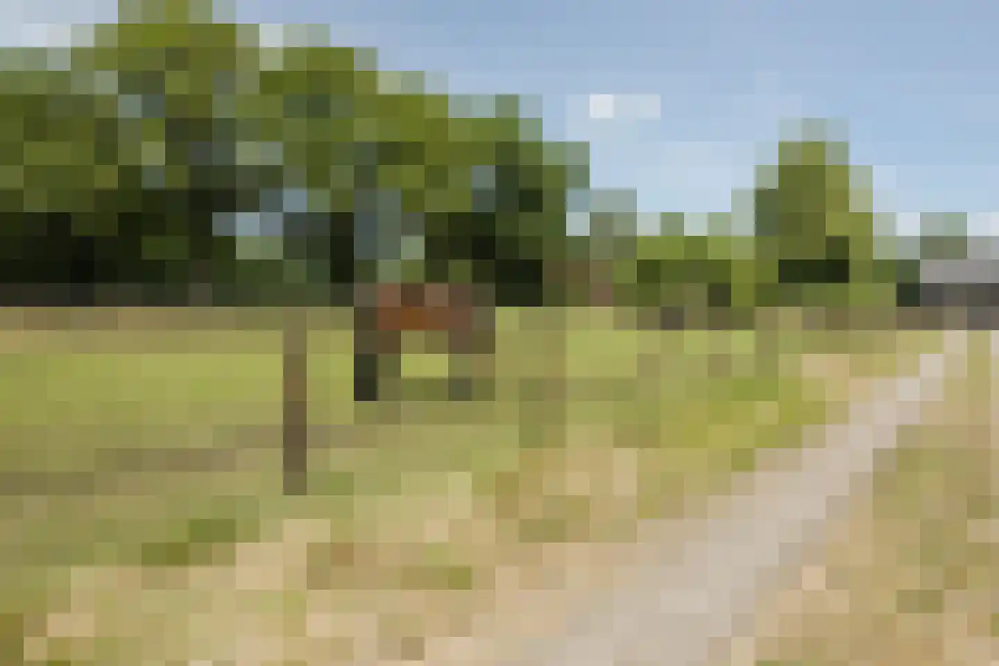 Bruinehaarsweg 68 Langeveen thumbnail 49