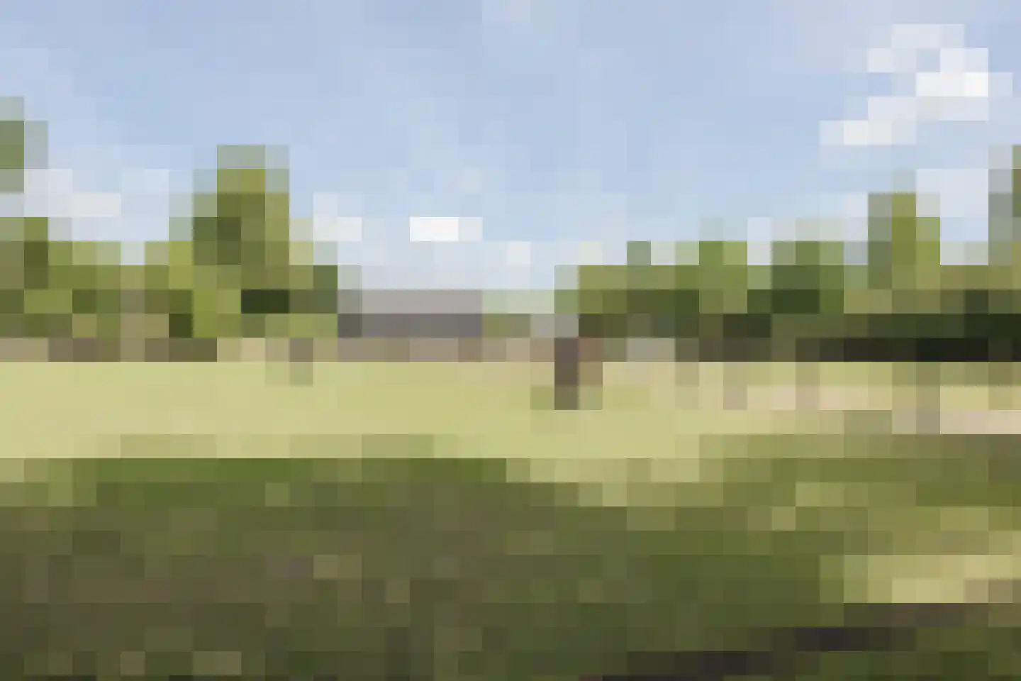 Bruinehaarsweg 68 Langeveen thumbnail 50