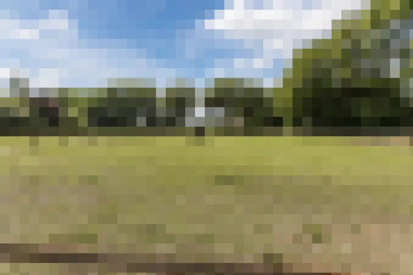 Bruinehaarsweg 68 Langeveen thumbnail 51