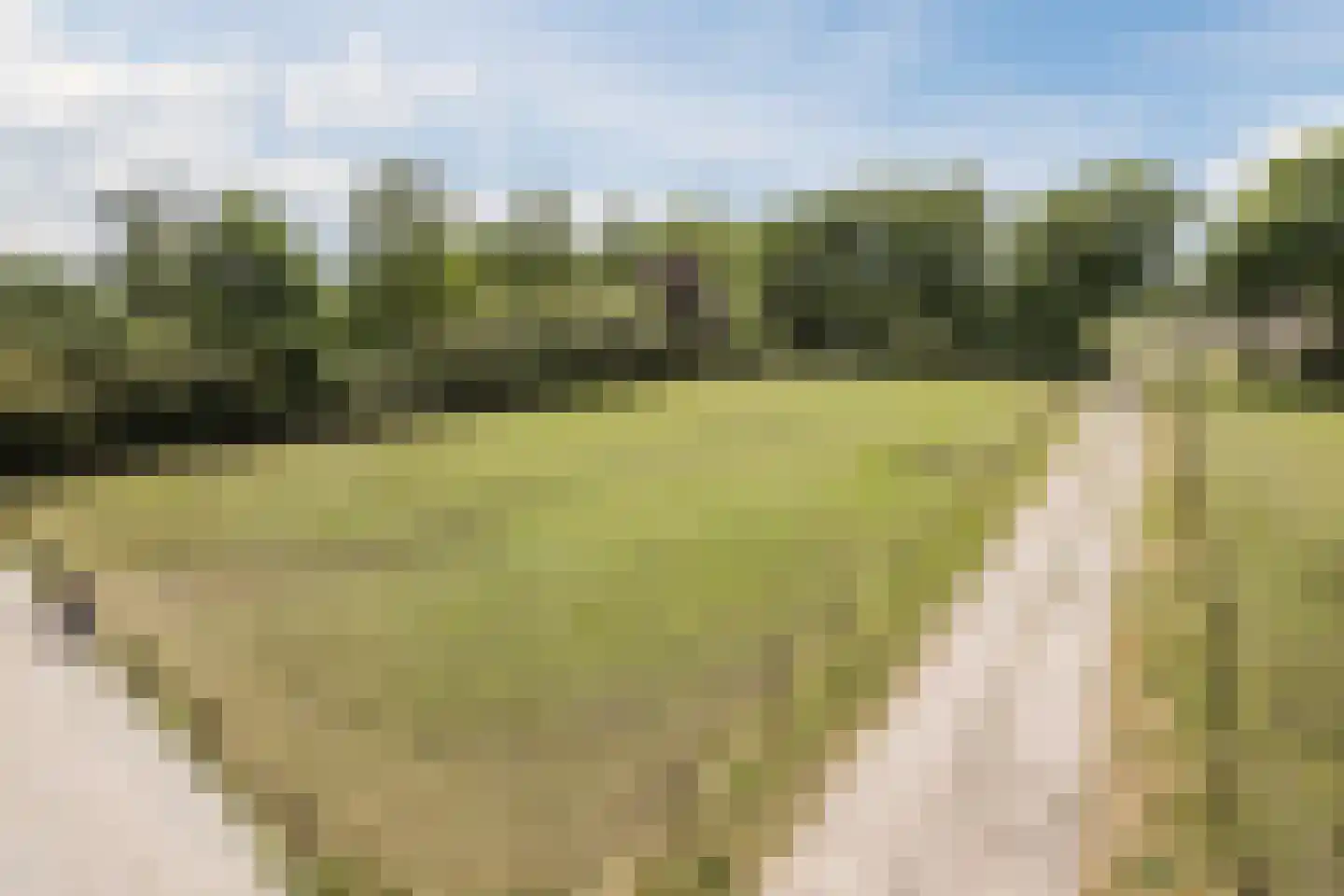 Bruinehaarsweg 68 Langeveen thumbnail 52