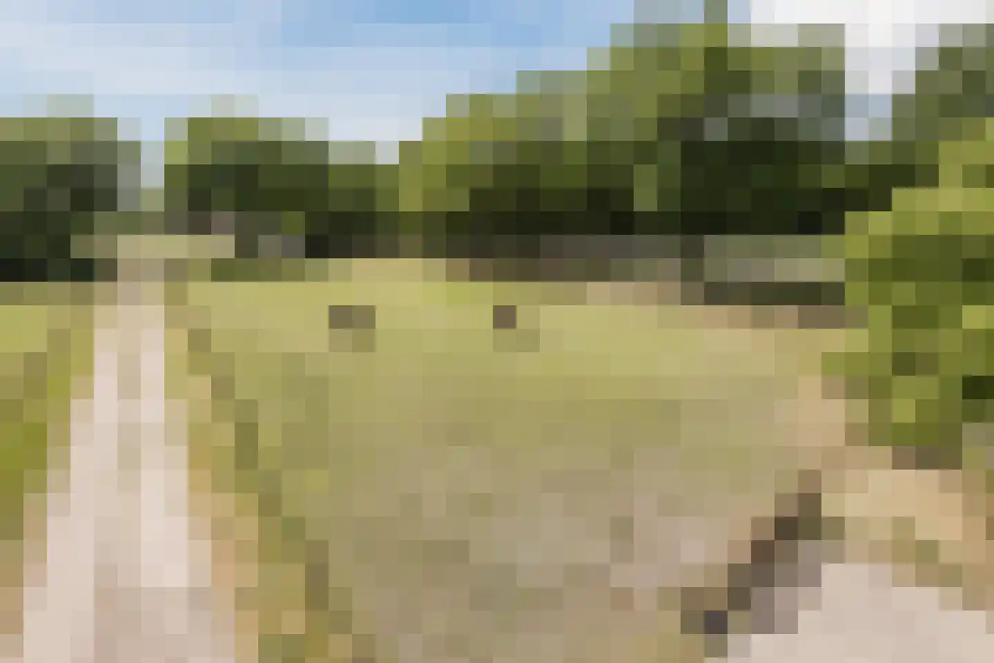 Bruinehaarsweg 68 Langeveen thumbnail 53
