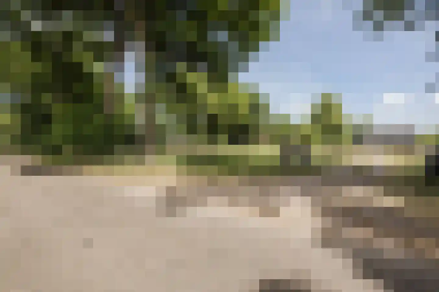 Bruinehaarsweg 68 Langeveen thumbnail 56