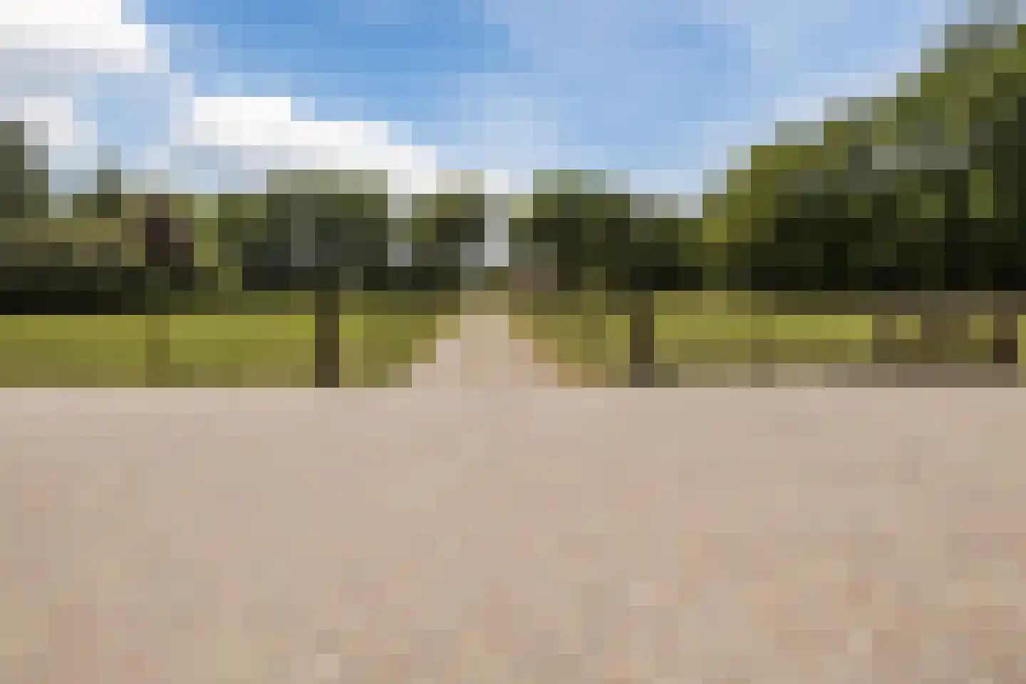 Bruinehaarsweg 68 Langeveen thumbnail 6