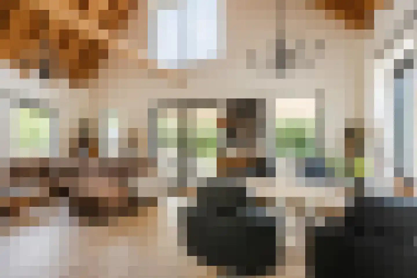 Bruinehaarsweg 68 Langeveen thumbnail 8