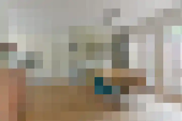 Bruinhorst 11 Leusden thumbnail 12
