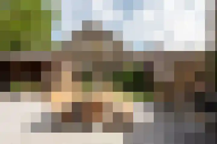 Bruinhorst 11 Leusden thumbnail 18