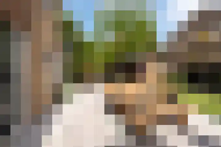 Bruinhorst 11 Leusden thumbnail 19